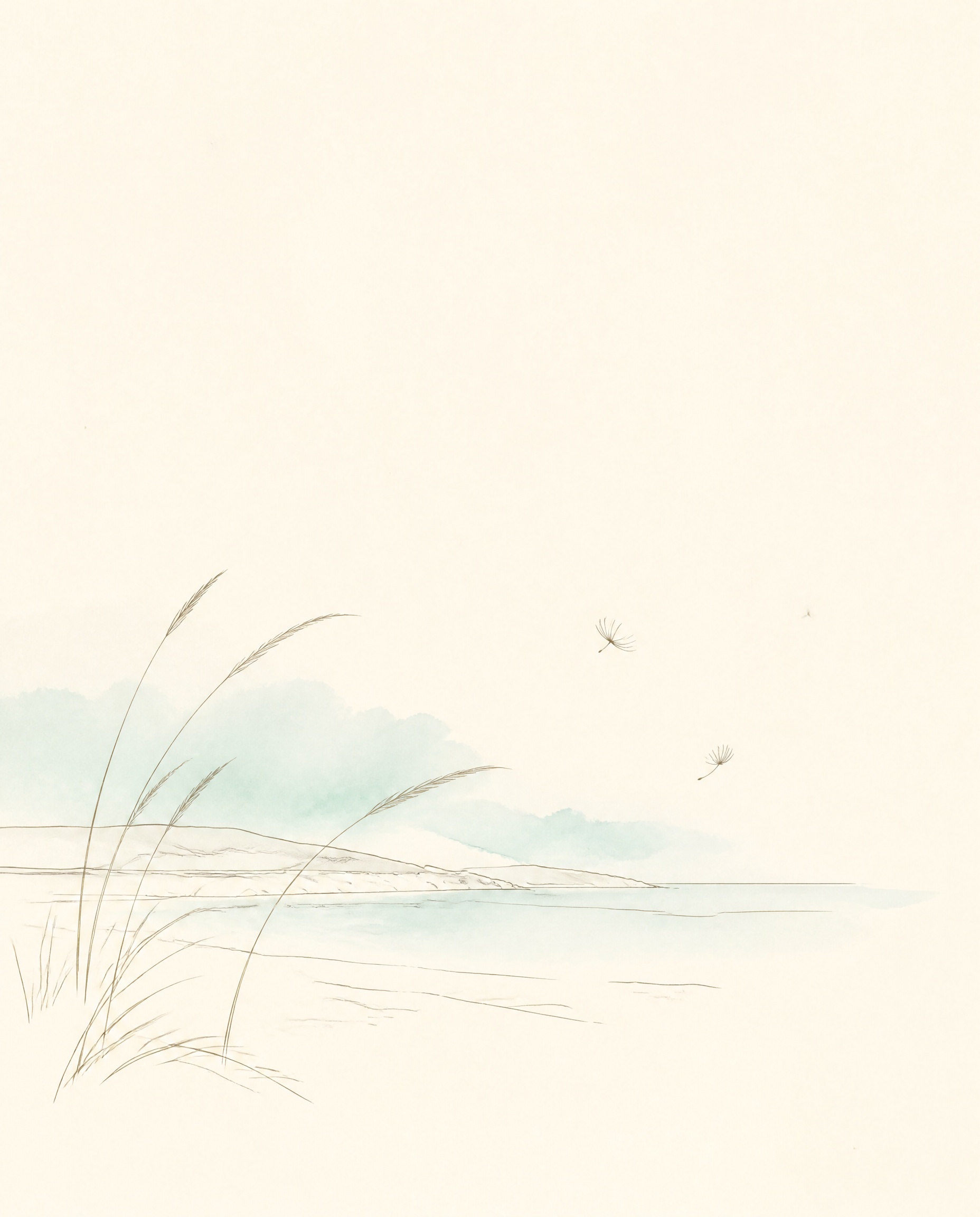 Coastline